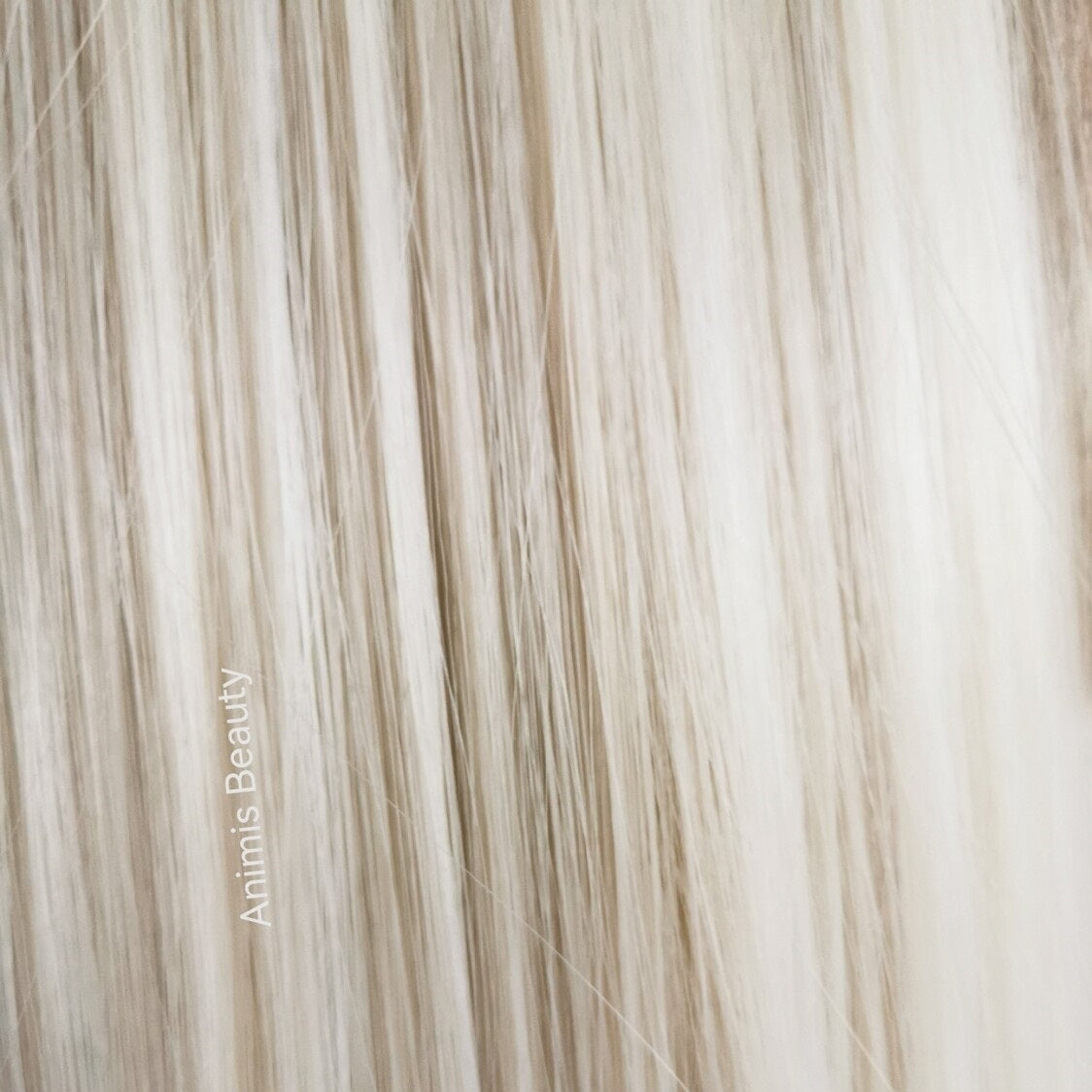 Coada par Blond Platinat, dreapta cu 2 panglici